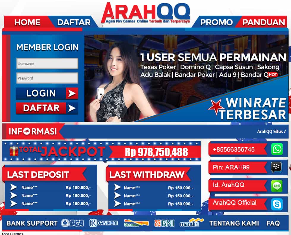 agen arahqq